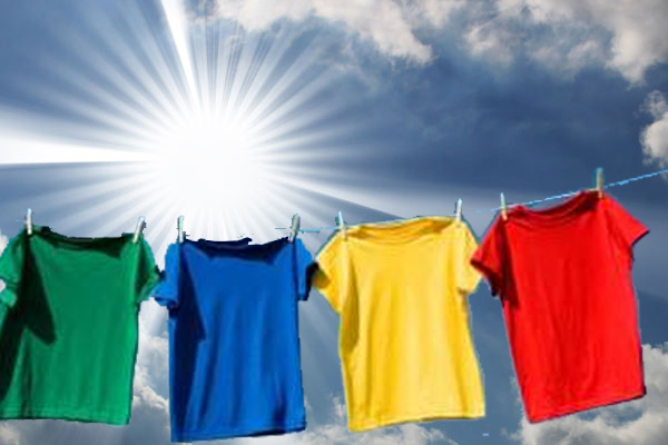 Professional Laundry Service